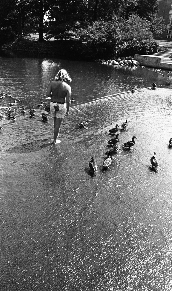Students feeding ducks behind the Administration Building