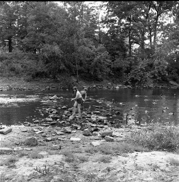 Woman feeds ducks on the Red Cedar River