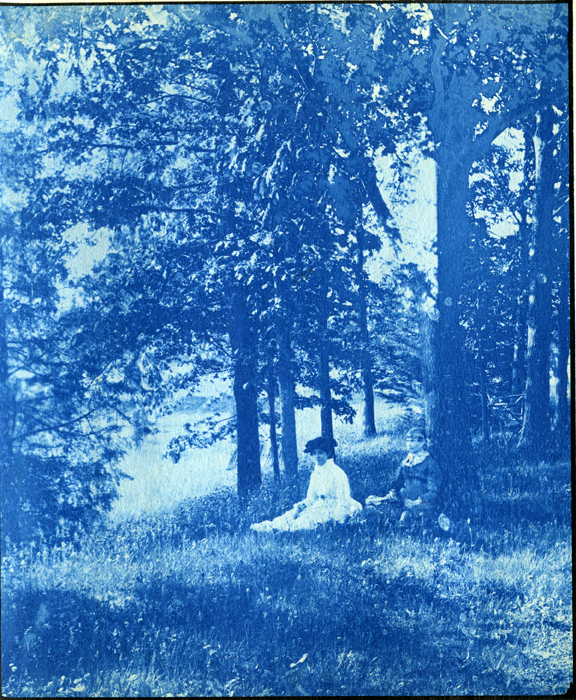 13. Two women sit by trees, circa 1888.