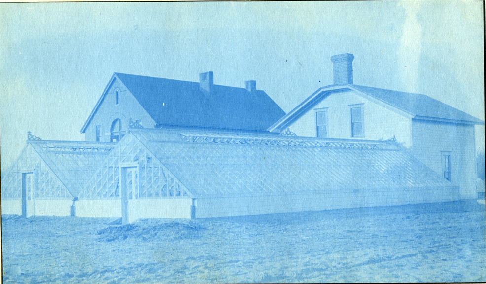 29. Two greenhouses, circa 1888