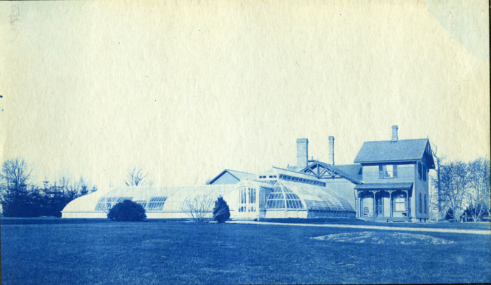 31. Greenhouses, circa 1888