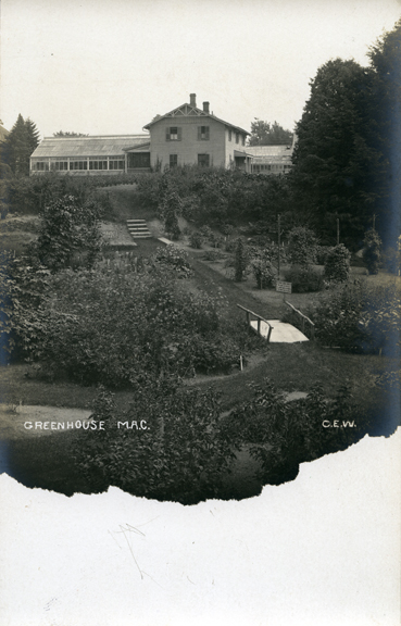 Greenhouse and surrounding garden