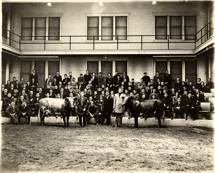 Livestock judging course, 1912