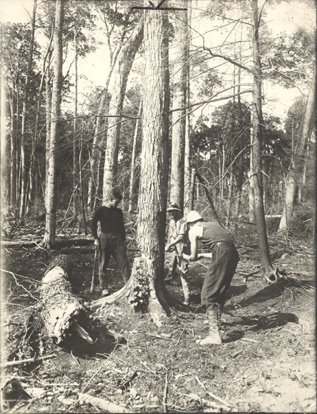 Students practice forestry, date unknown