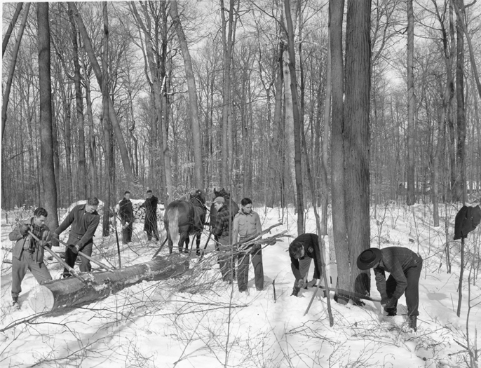 Winter forestry class, date unknown