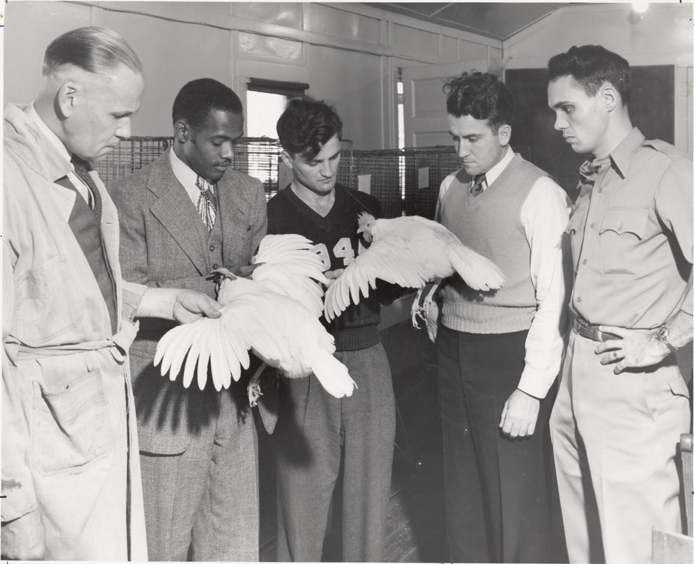 Students examine two chickens, date unknown