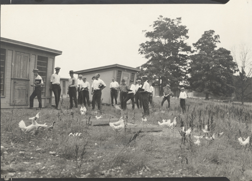 Students stand among chickens and chicken houses, date unknown