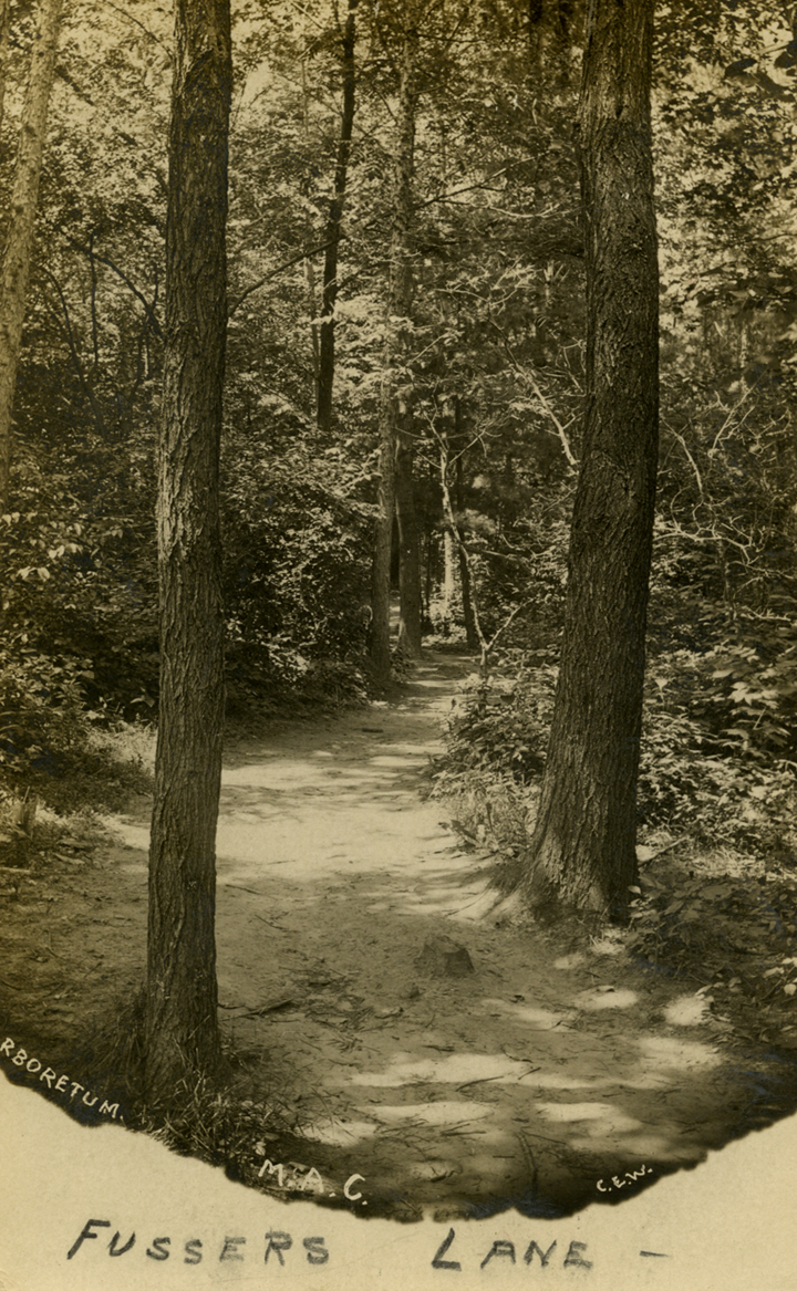 Arboretum, 1909