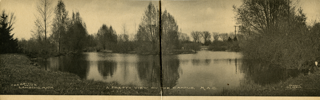 Pond on campus, date unknown