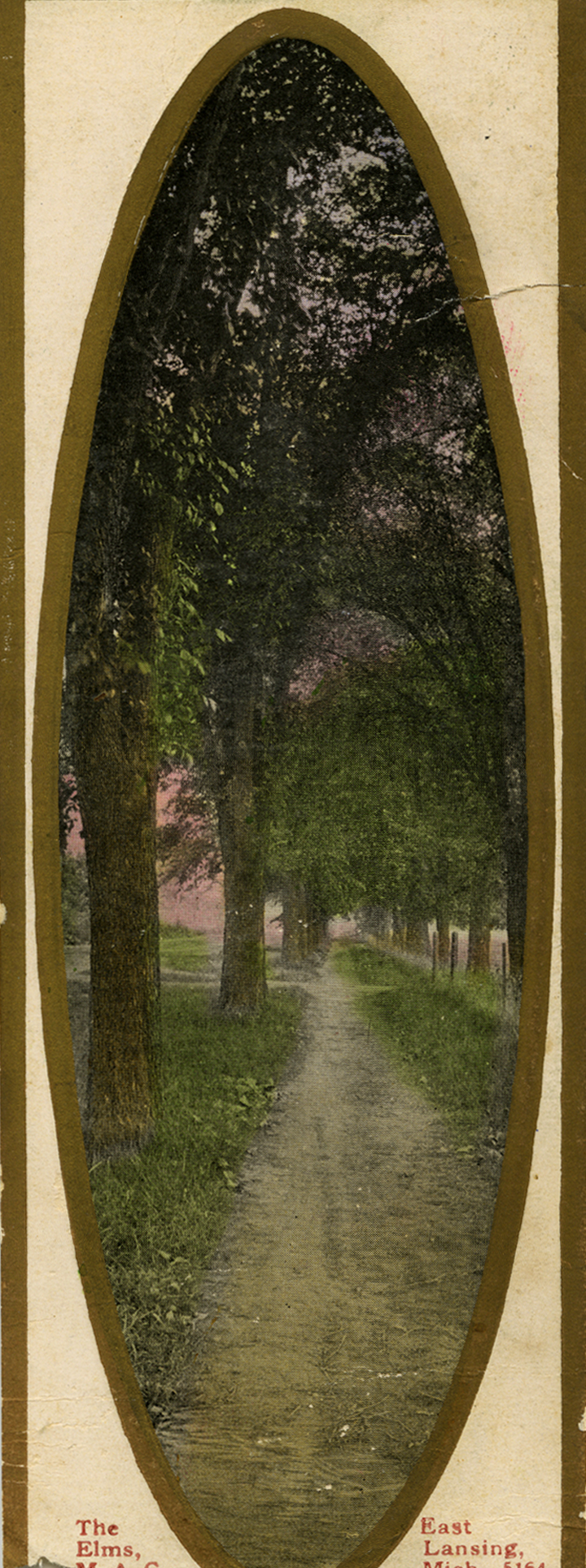 The Elms, date unknown