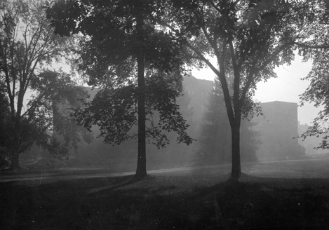 Morrill Hall behind mist and trees, date unknown