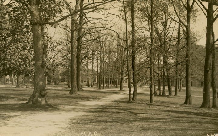 Path on campus, date unknown