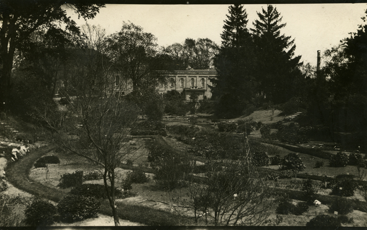 Beal Botanical Garden, 1914