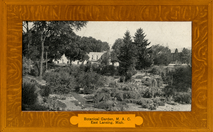 Beal Botanical Garden, date unknown