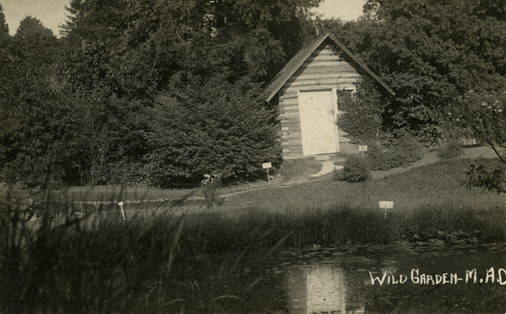 Log Cabin in the Beal Botanical Garden, date unknown