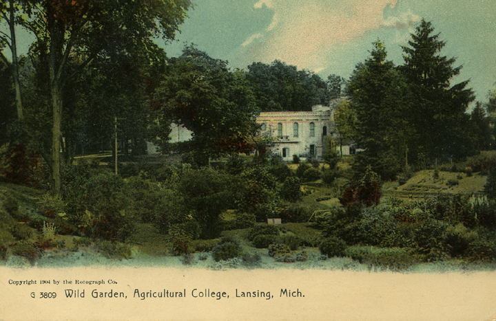 Beal Botanical Garden, 1904