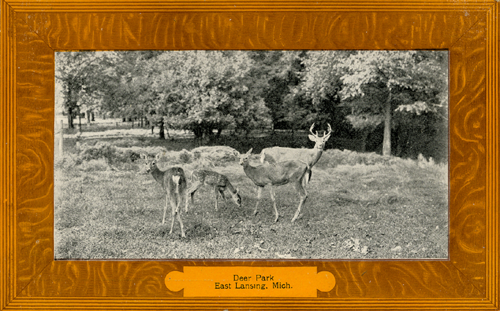 Deer Park, date unknown