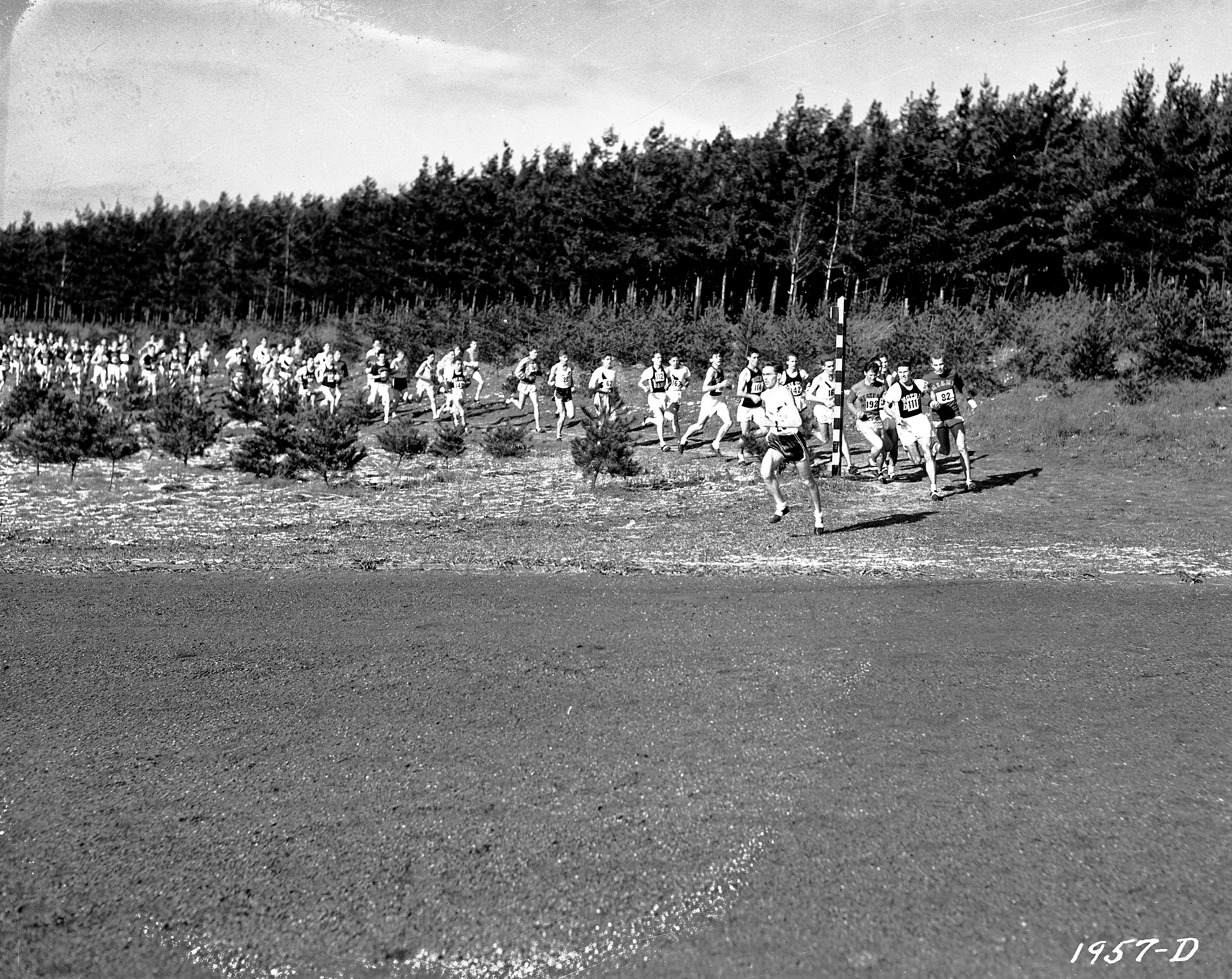 Fourth Annual NCAA Cross Country Championships, 1941