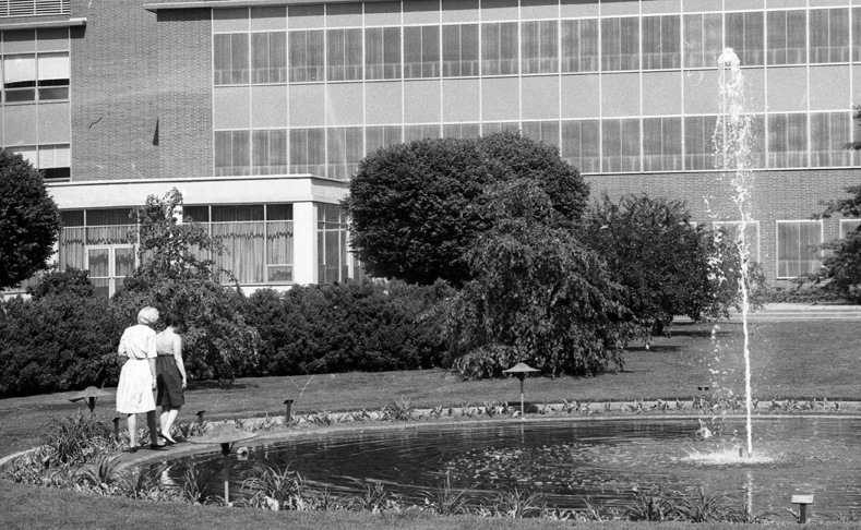 Rose Garden with People, 1965