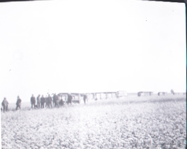 People Standing in a Field, Frank M. Benton Papers, date unknown