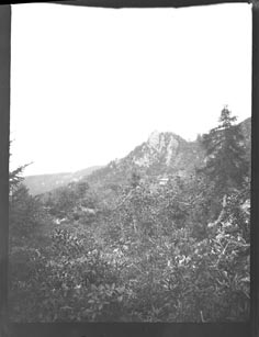 Mountain and foliage (Frank M. Benton papers), circa 1880s