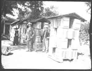 People standing by bee hive boxes (Frank M. Benton papers), circa 1880s