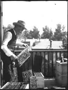 Unidentified man holding bee hives (Frank M. Benton papers), circa 1880s