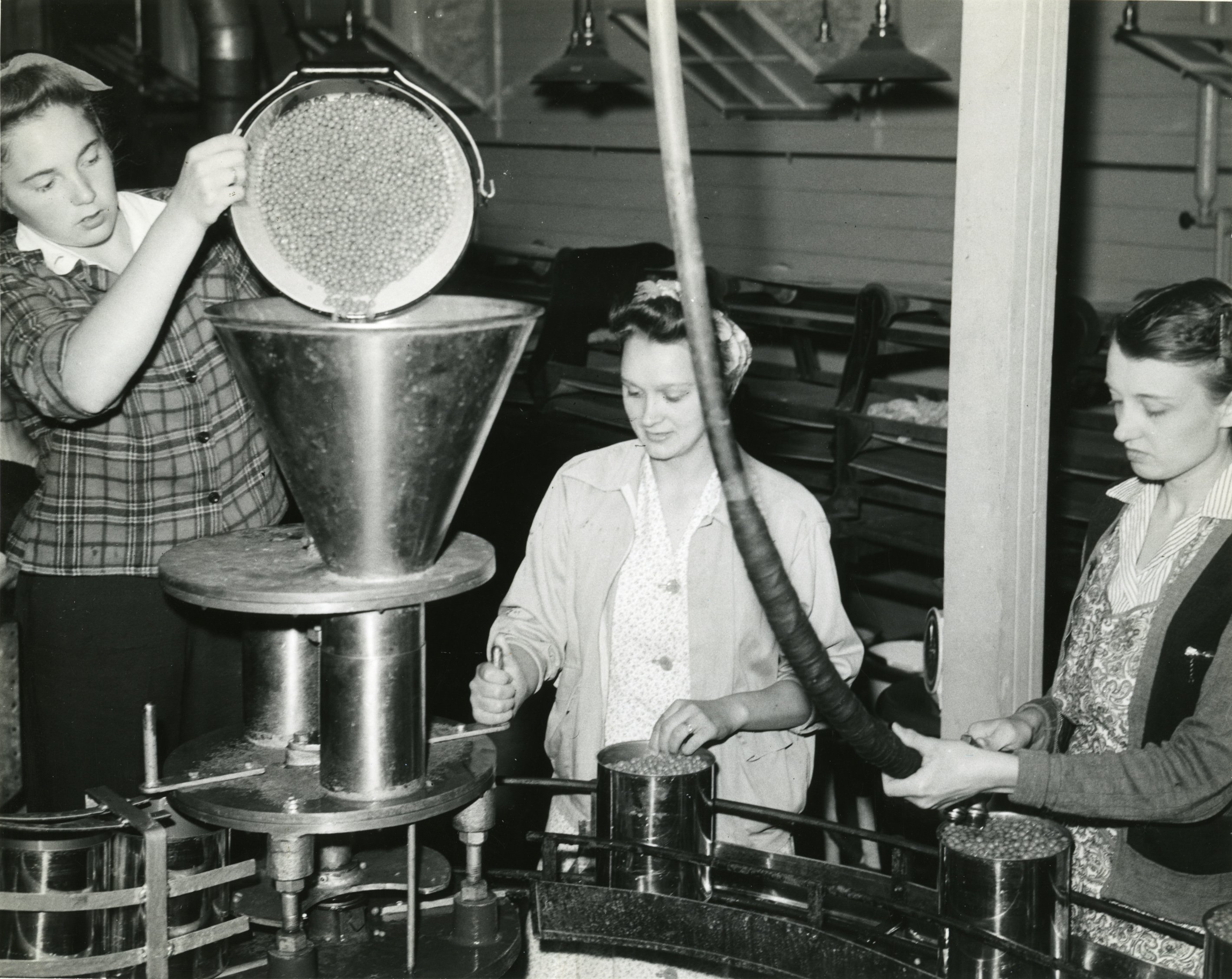 Canning at the cannery during World War II.