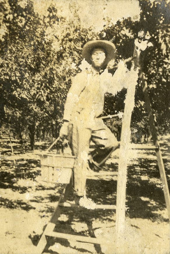 Onn Mann Liang picking fruit, 1923