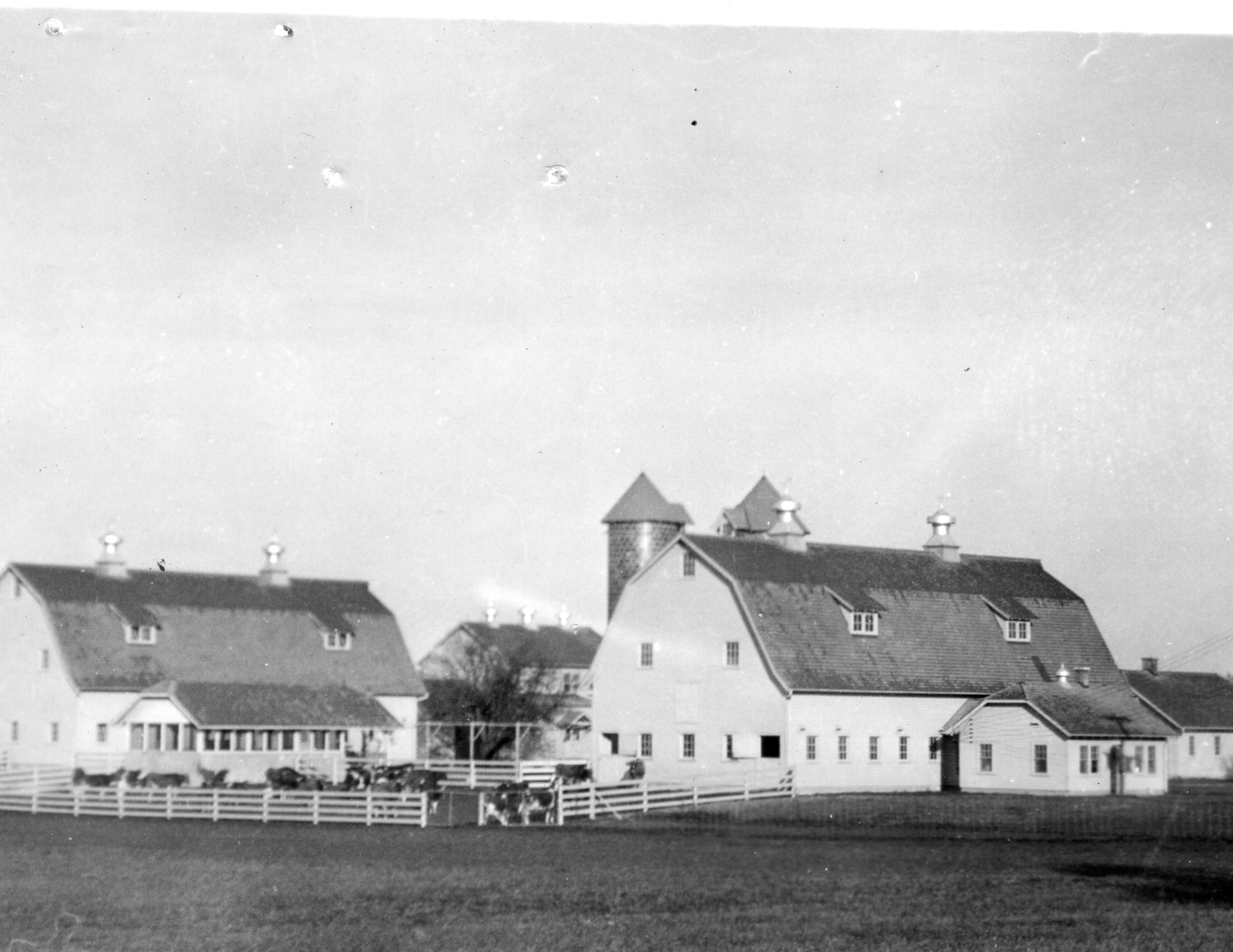 Photograph of the Dairy Farm and House Barn 