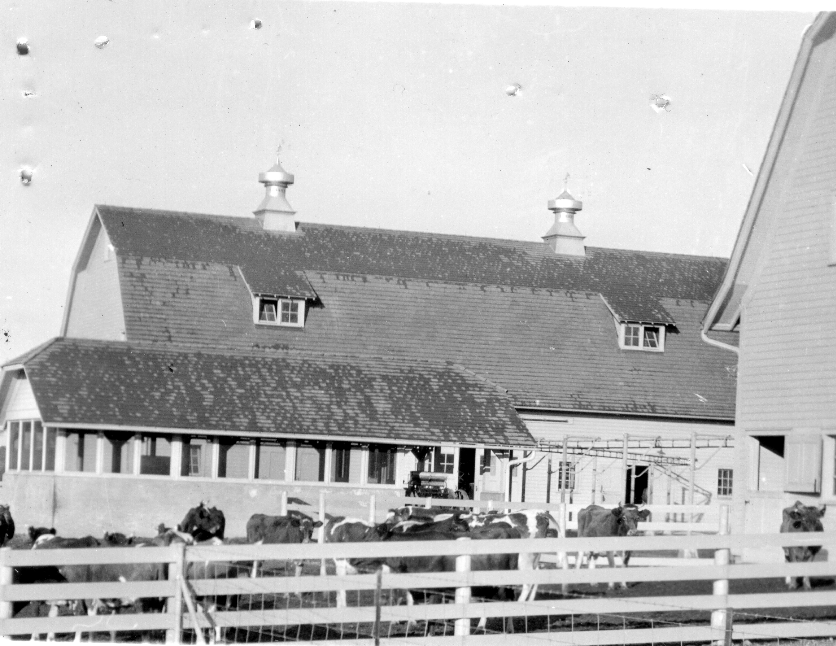Mauure shed, house, and barn 