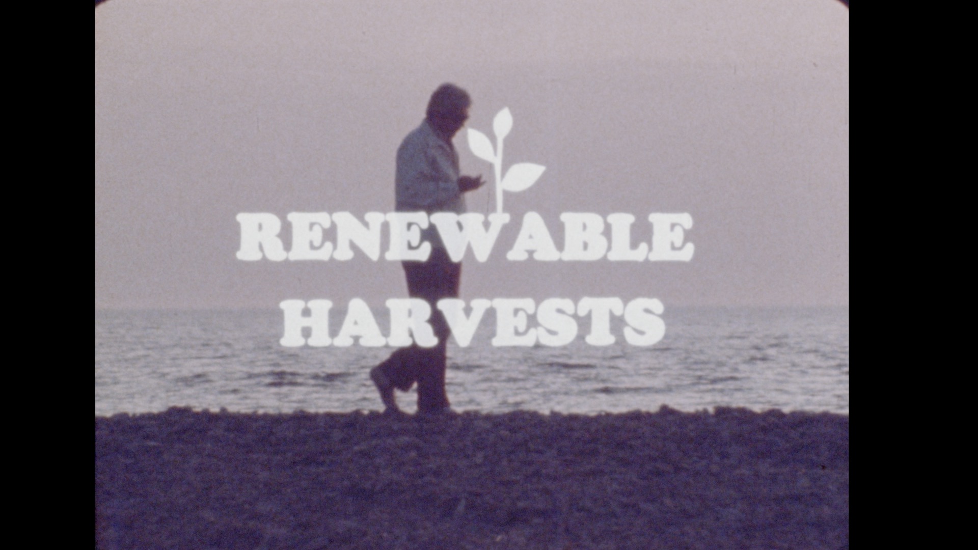 Renewable Harvests, 1976
