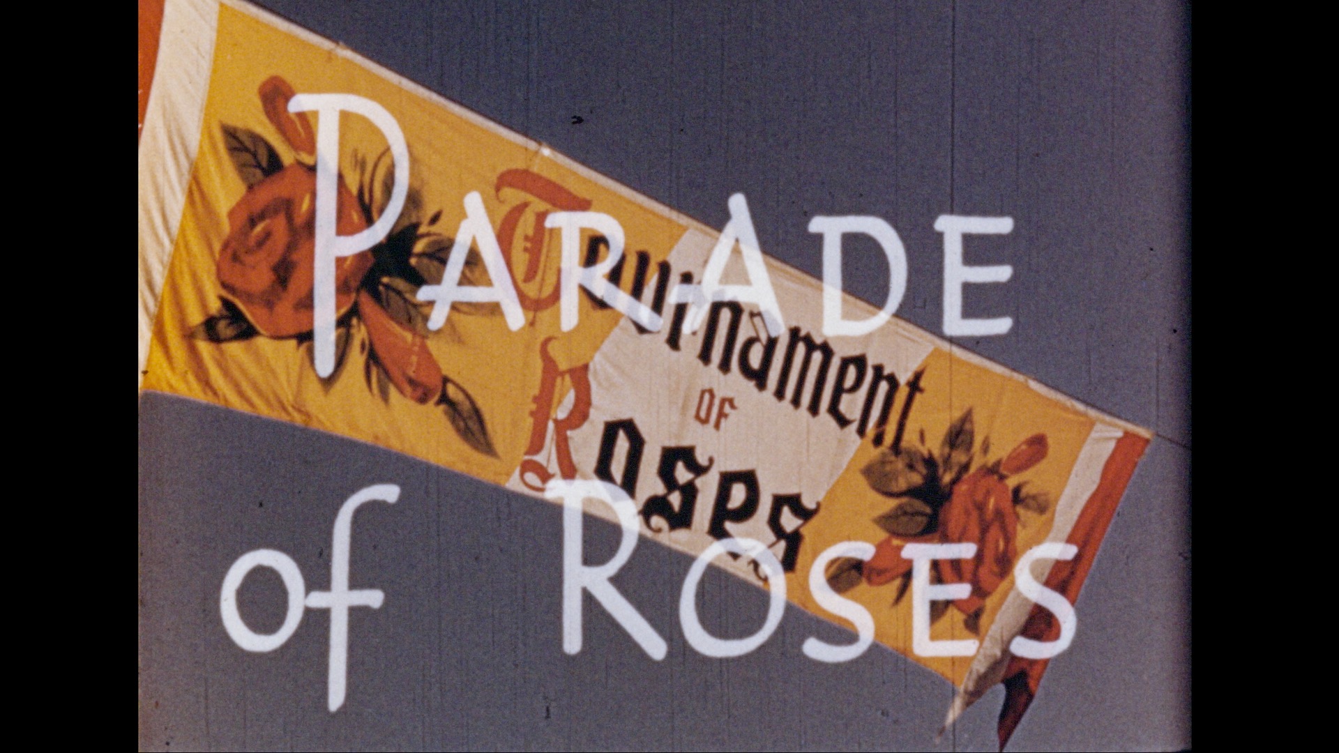 Parade of Roses, 1954