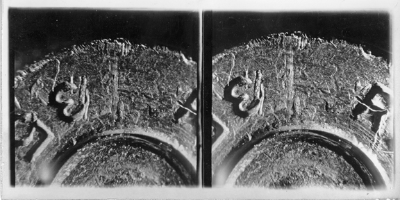Stereophotomicrograph of bullet casing, 1939