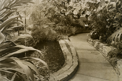 Tropic Dome at Hidden Lake Garden's Conservatory, 1969