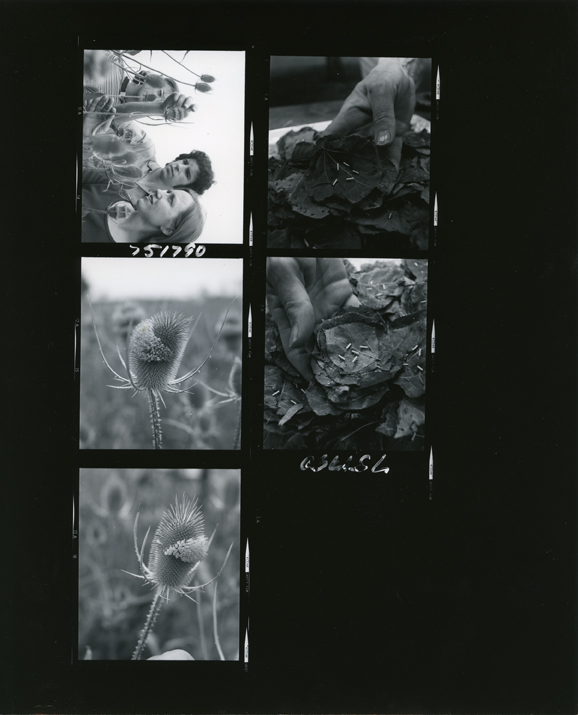 Contact print of five KBS images, 1975