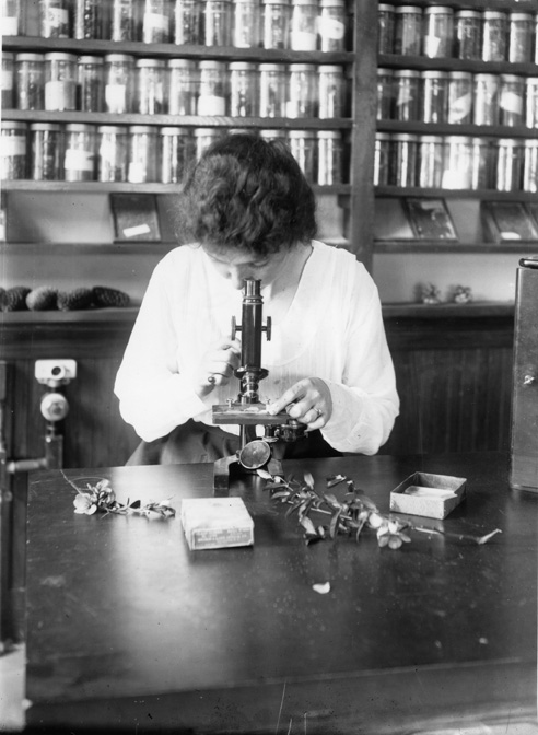 Woman looking through microscope, March 14, 1919