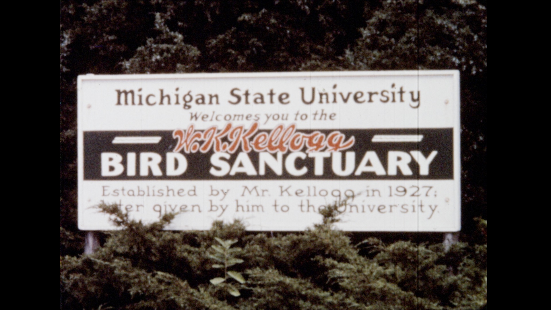 The Sanctuary Story, circa 1950s