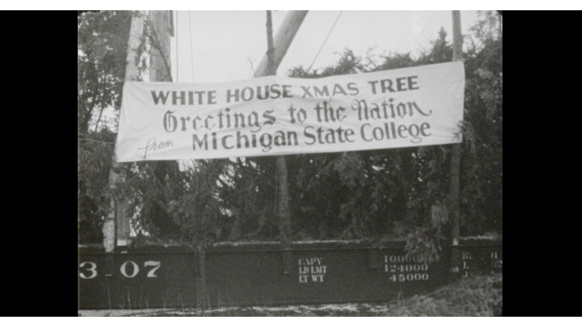 White House Christmas Tree, 1954