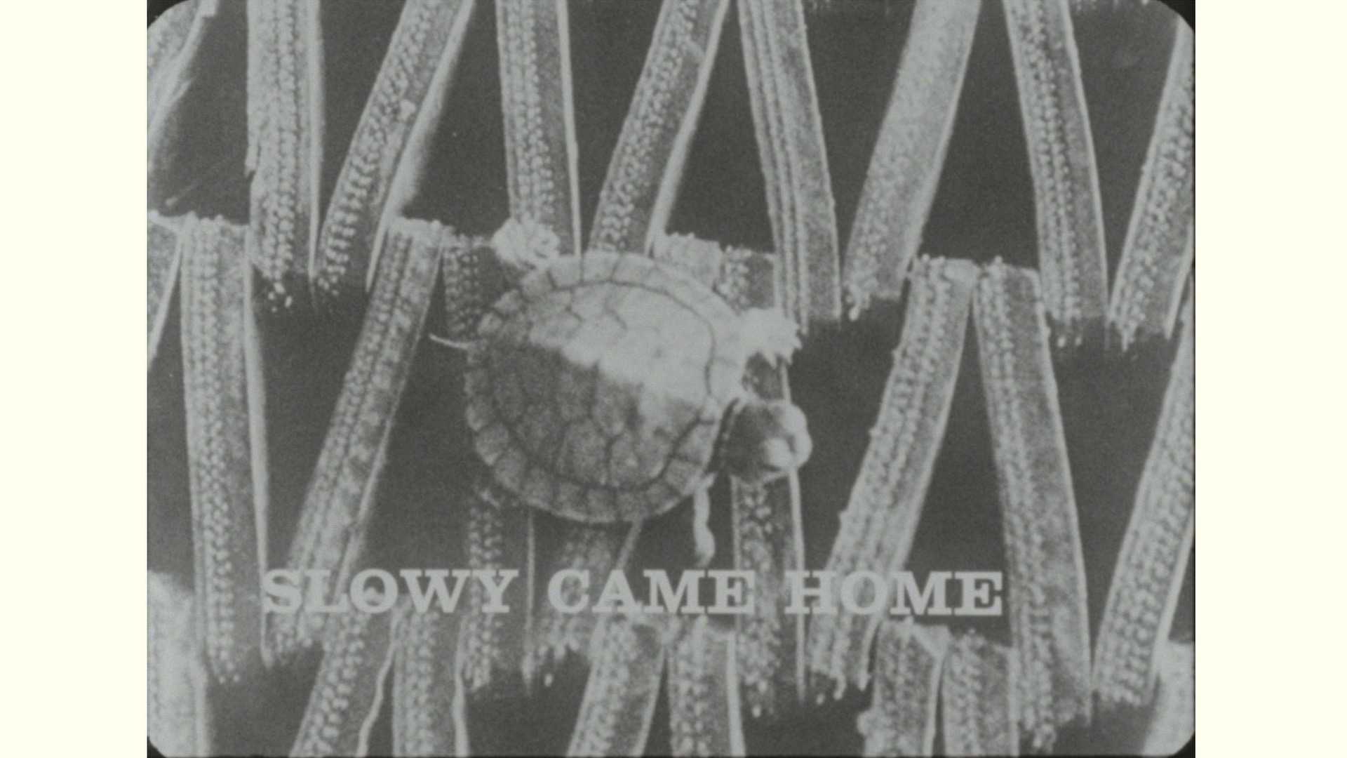 Slowy Came Home, 1963
