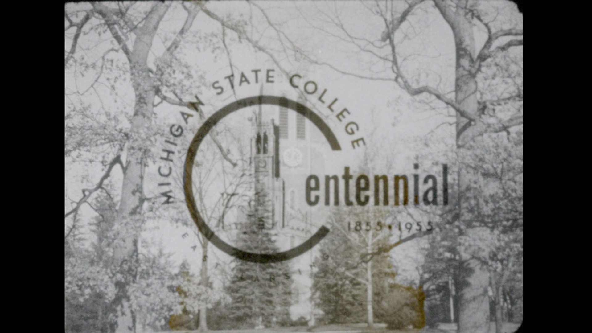MSC Centennial, 1955
