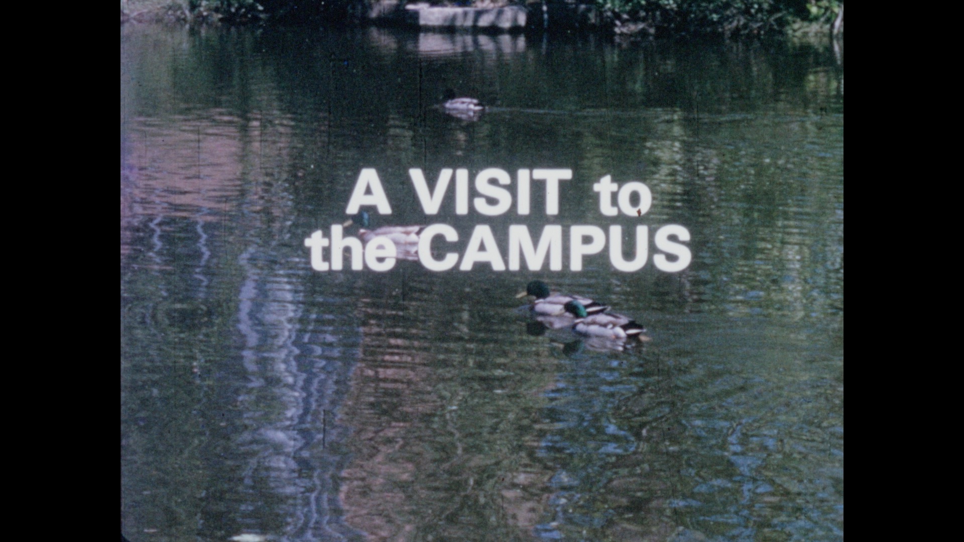 A Visit to the Campus, 1968