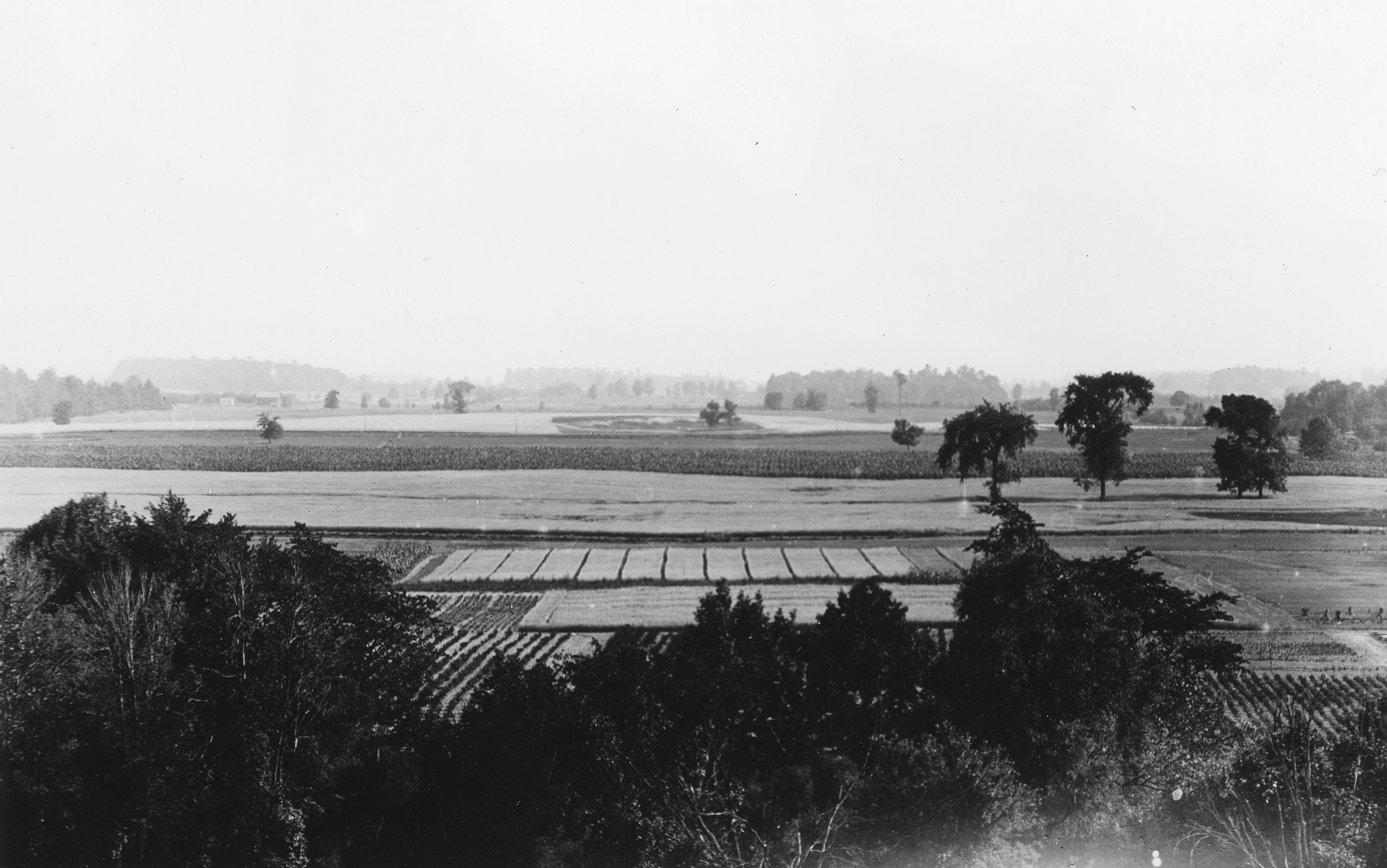 Campus Forestry Plats, undated
