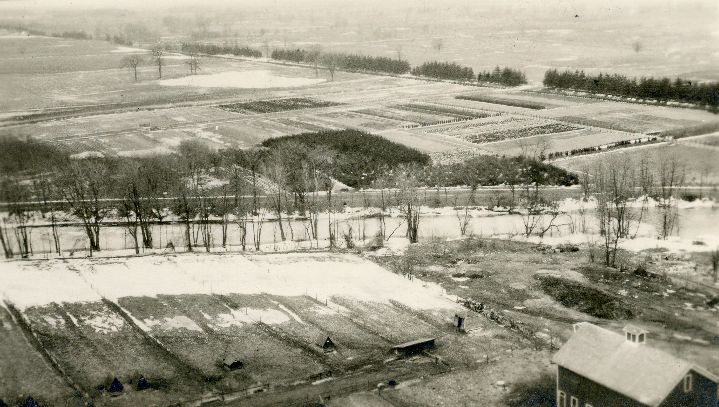 Aerial view of forestry plats, undated