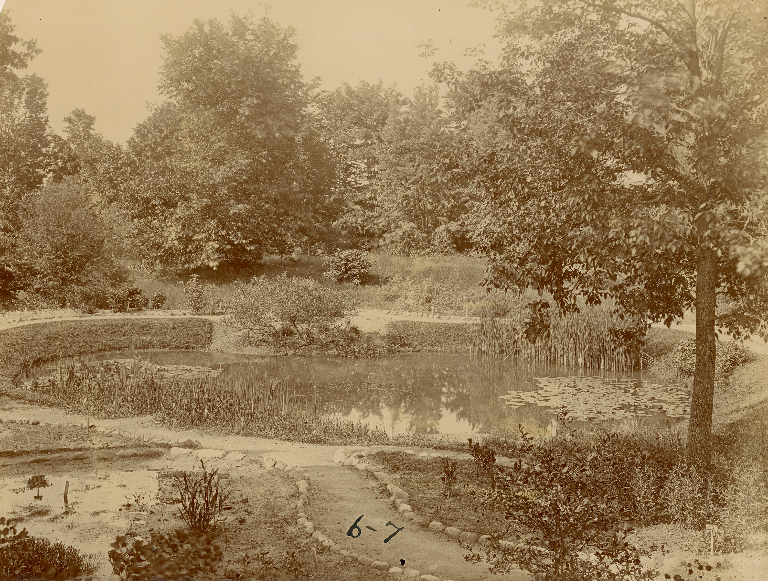 Young Beal Garden and Pond, May 1897