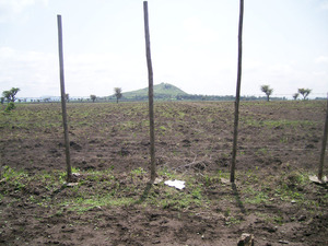 Fencing the Land