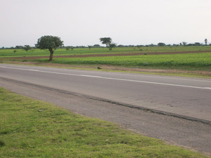 Road and Farm (3)