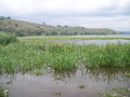 Lake Awasa