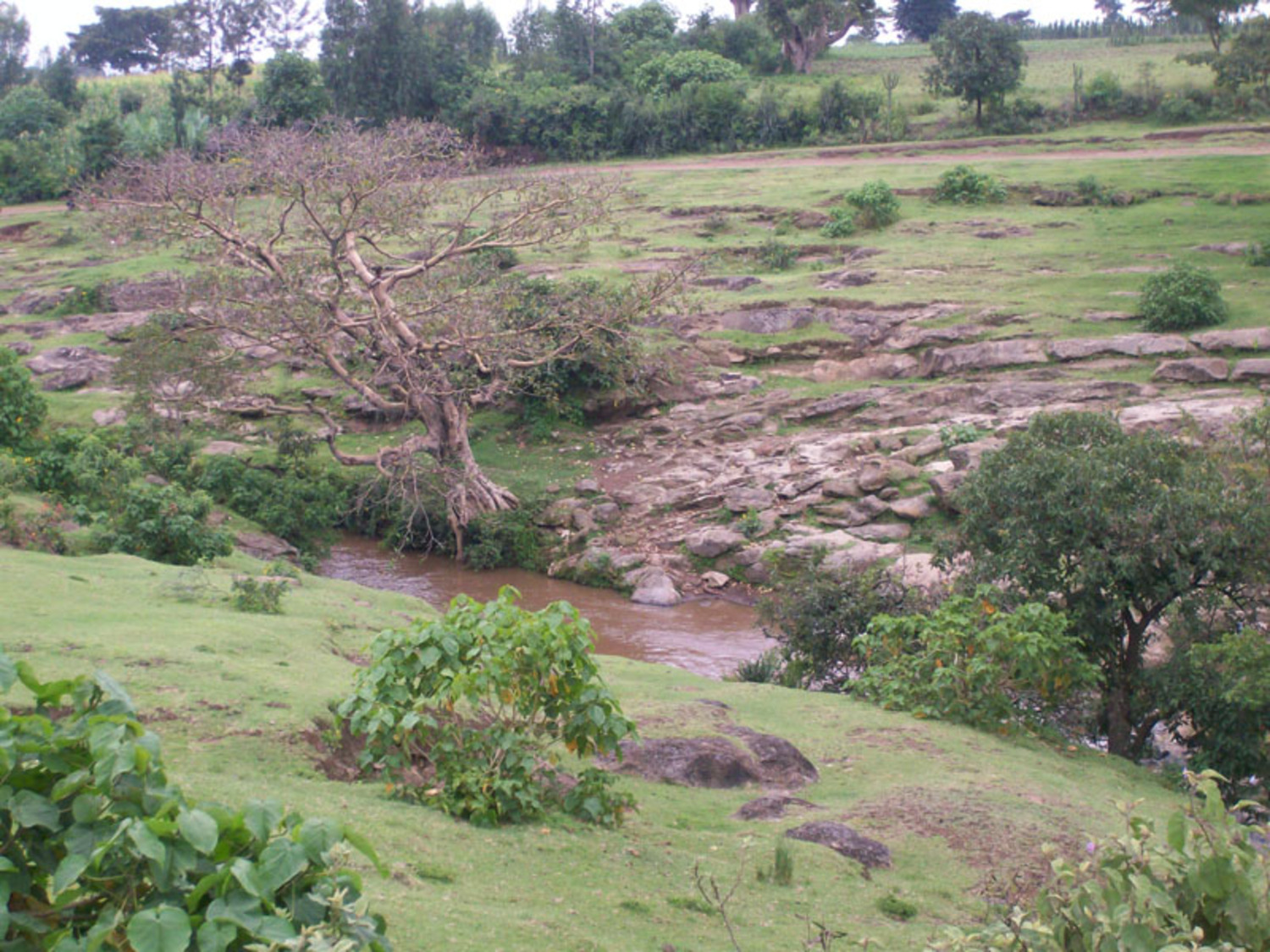 River Dadaba