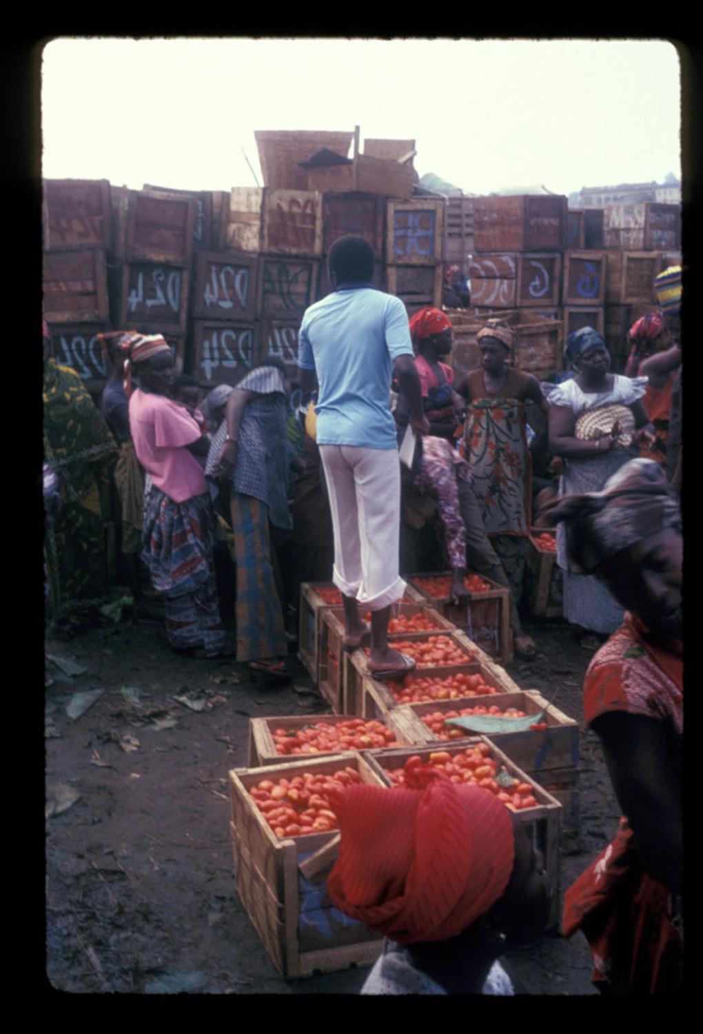 Young man standing on tomato boxes